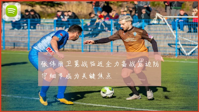 张伟丽卫冕战临近全力备战笼边防守细节成为关键焦点